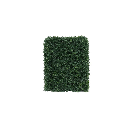 UV Botanica Hedge (37 x 48cm)