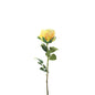 Essential Lemon Garden Rose