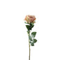 Essential Vintage Blush Garden Rose