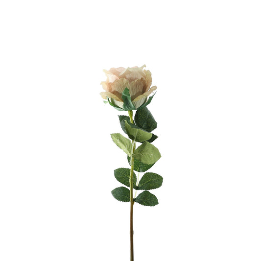 Essential Vintage Ivory Garden Rose (35cm)