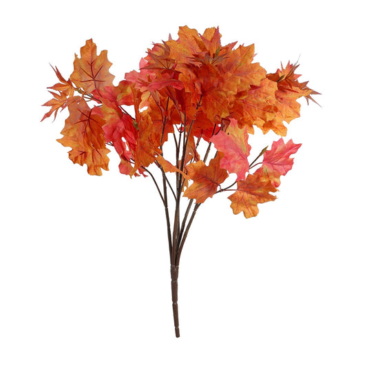 Discover the Essential Autumn Maple Bush - Red at Bristow Direct