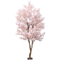 Light Pink Sakura Blossom Tree (2.8m)