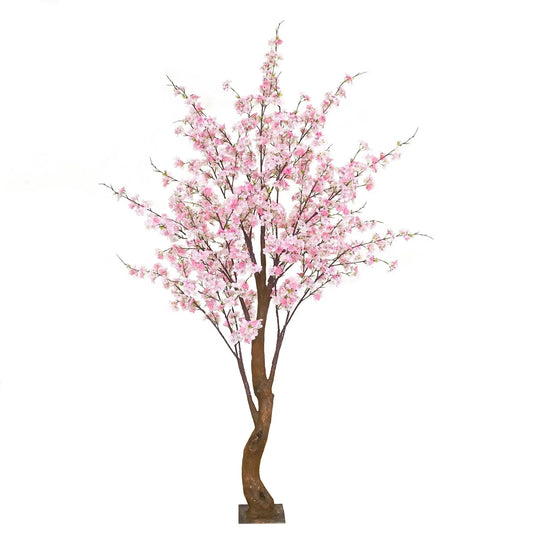 Light Pink Yoshino Blossom Tree (1.8m)