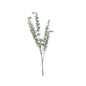 Essential Grey Eucalyptus Bush (5 Heads)