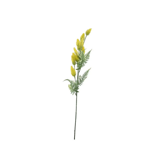 Essential Yellow Thistle