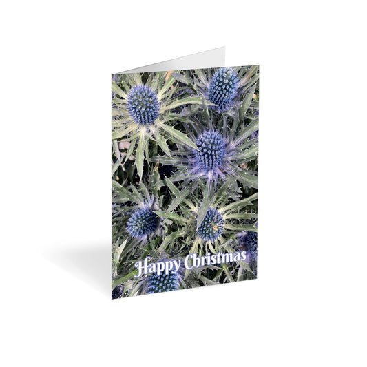 Christmas Blue Sea Holly Folded Card (Pack of 25)