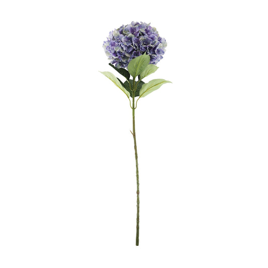 Discover the Essential Purple Giant Hydrangea at Bristow Direct