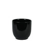 Glossy Black Hortus Pot (15.5x15cm)
