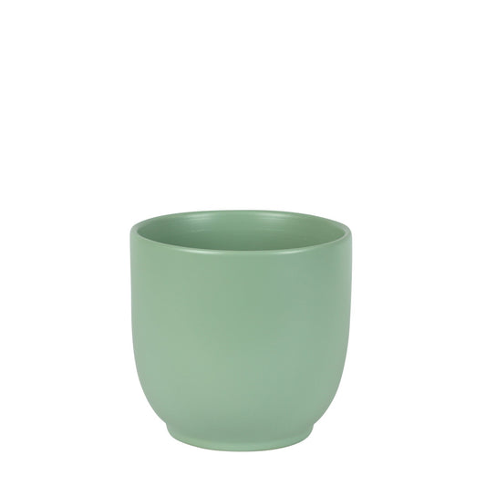 Matt Sage Hortus Pot (15.5x15cm)