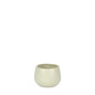 Matt Cream Hortus London Pot (8.5x8cm)