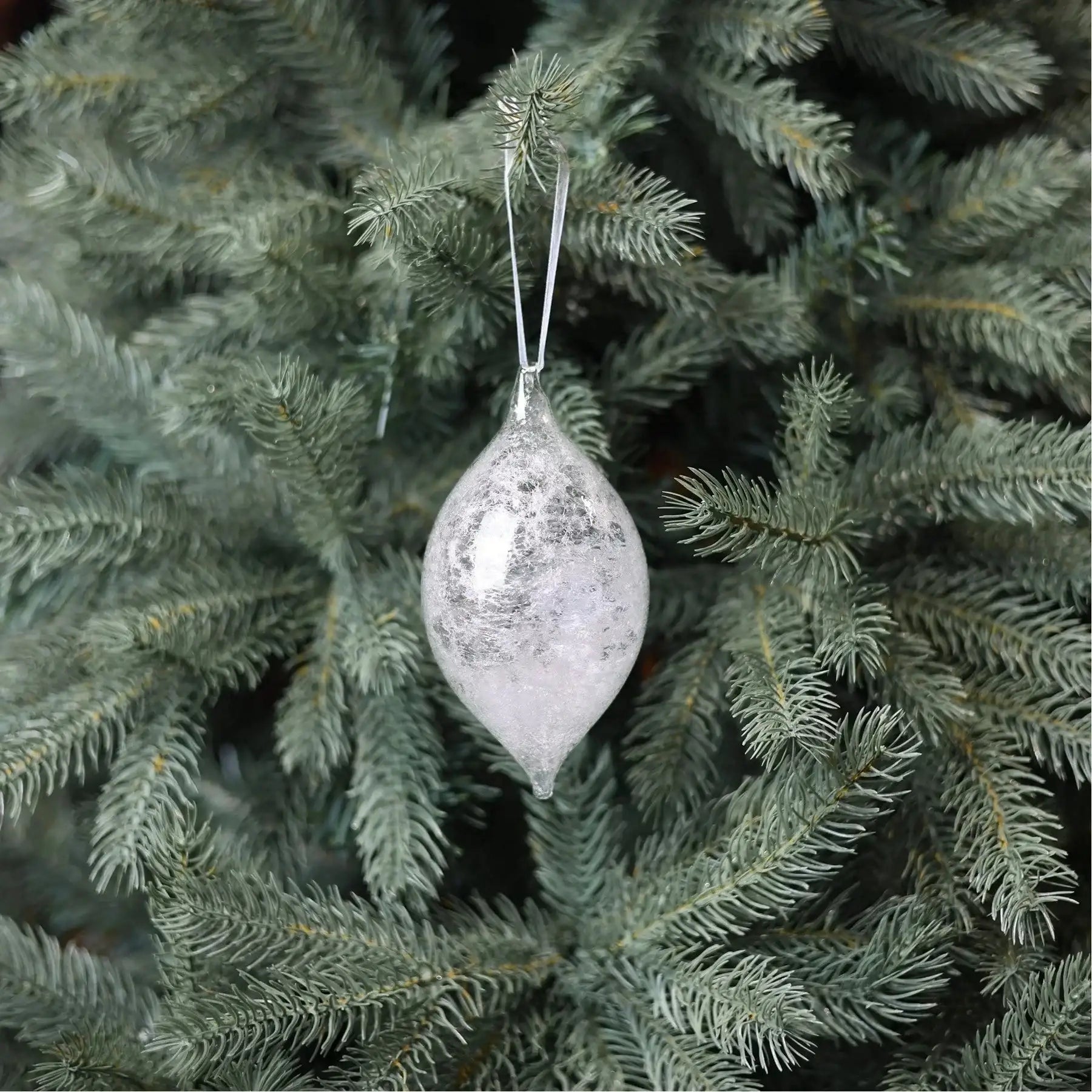 Frosted glass Christmas ornament hanging on green pine tree branch, festive holiday decor