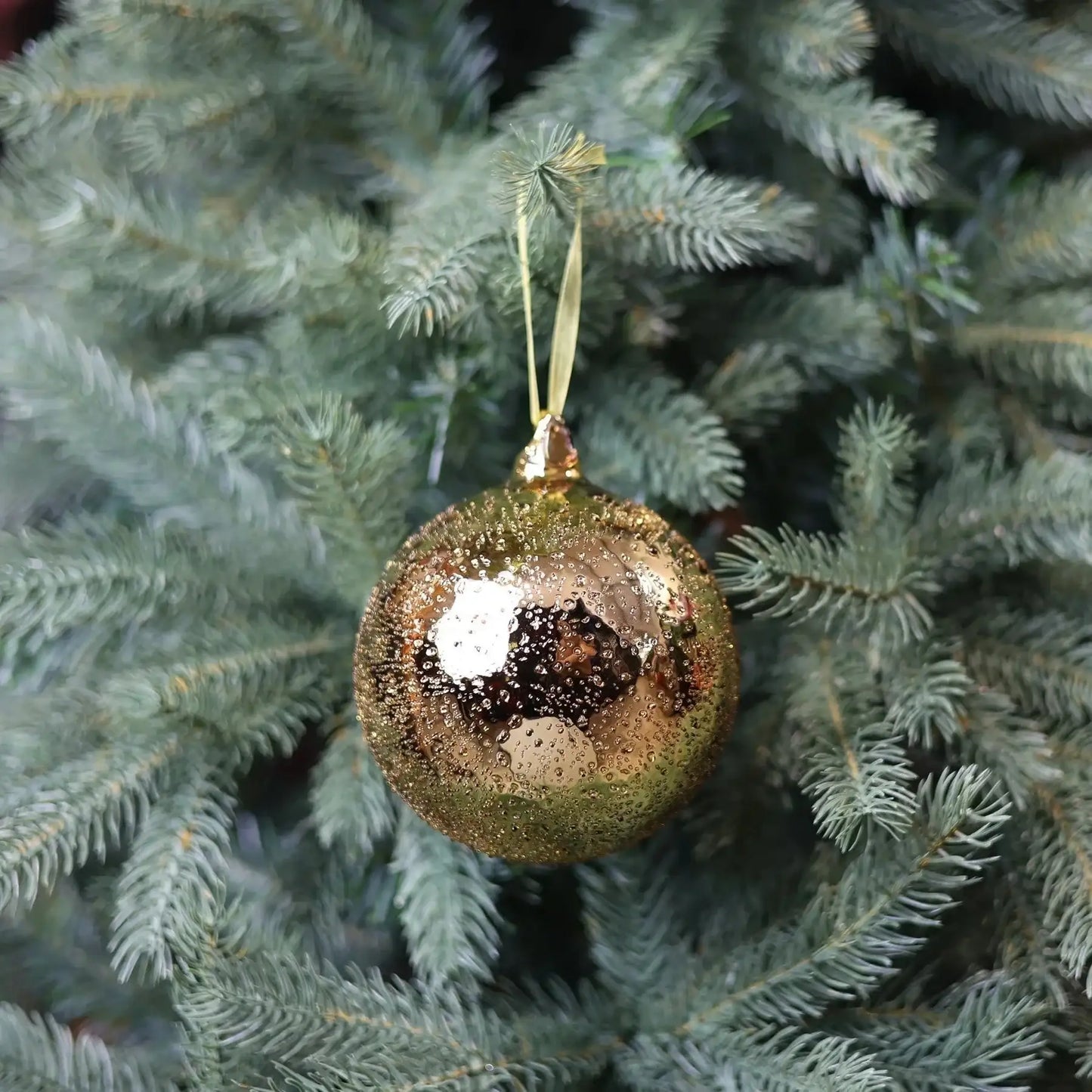Gold Christmas ornament hanging on green tree branch for holiday decoration