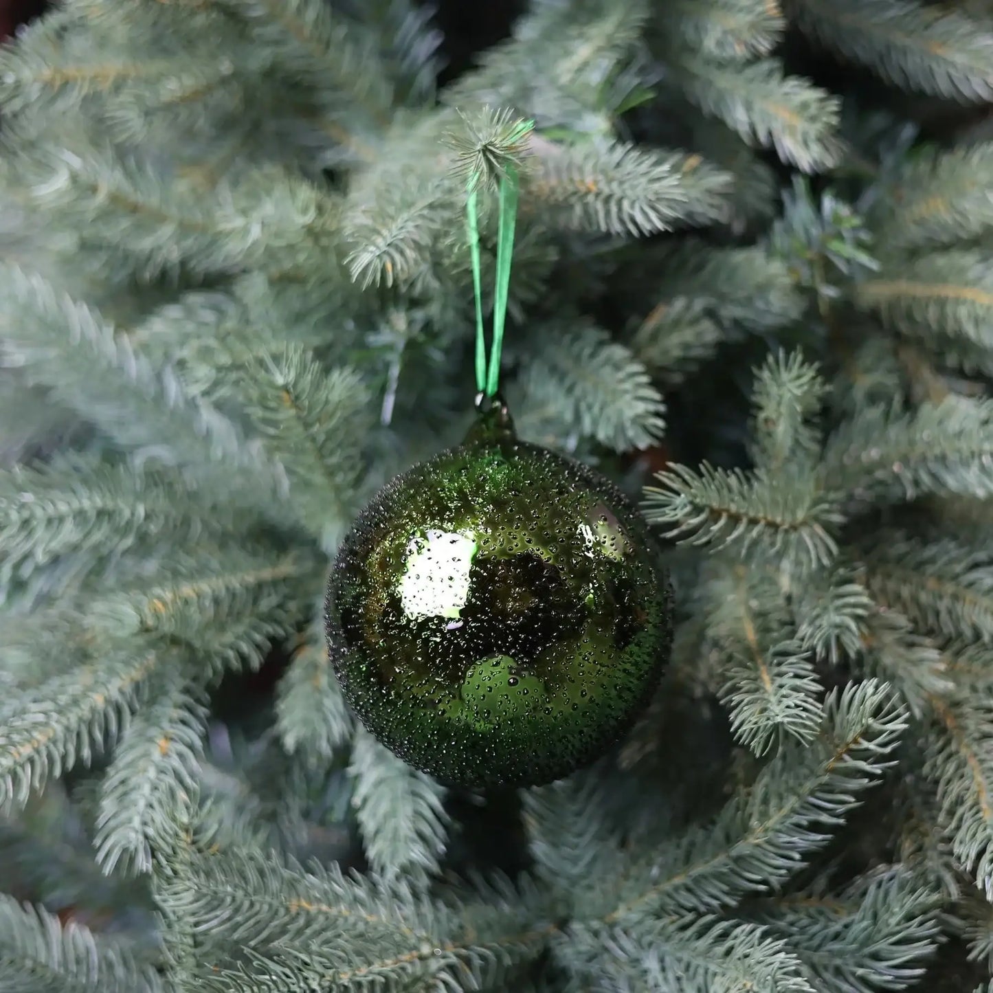 Green glass Christmas ornament hanging on evergreen tree branch