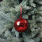 Red glass Christmas ornament hanging on a pine tree branch, festive holiday decor