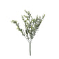 Sparkle Box Bush - Green - 50cm