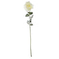 Snowy White English Rose (72cm)