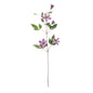 Lavender and White Snowy Clematis (78cm)