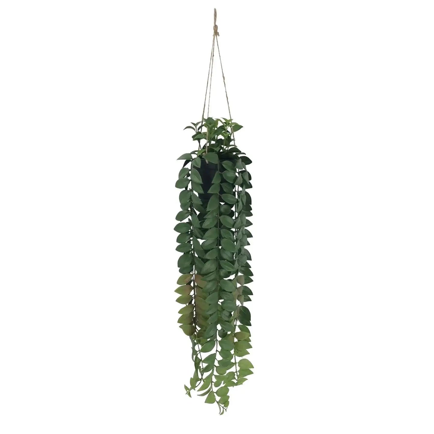 Botanica Hanging Plant (82cm)