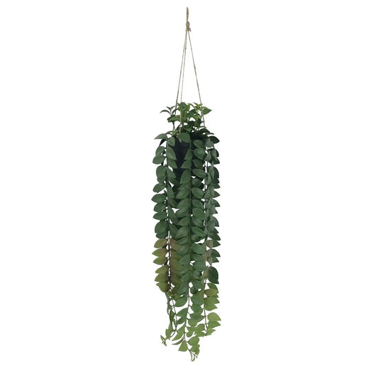 Botanica Hanging Plant (82cm)