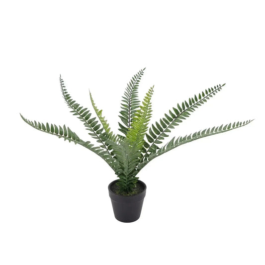 Botanica Fern Plant 8 Fronds (35cm)