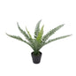 Botanica Fern Plant 8 Fronds (35cm)