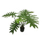 Botanica Philodendron Plant in pot (92cm)