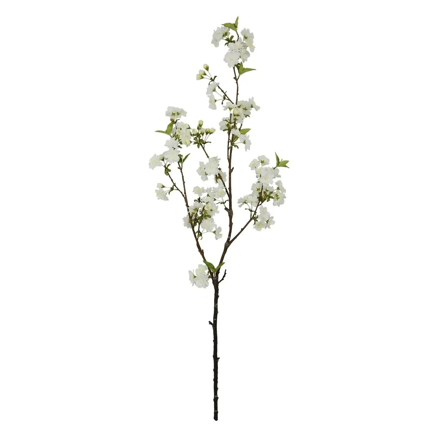 Botanica White Cherry Blossom (113cm)