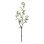 Botanica White Cherry Blossom (113cm)