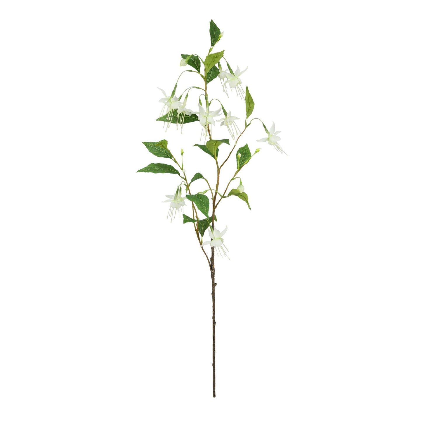 Botanica White Fuchsia
