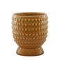 Yellow Hortus Hobart Footed Pot (20x21.5cm)