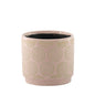 Pink Hortus Melbourne Cosmos Pot (14.5 x 13cm)