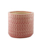 Hortus Salmon Pink Gosford Pot (19cm H x 21cm Dia)