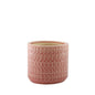 Hortus Salmon Pink Gosford Pot (11.5cm H x 12.5cm Dia)