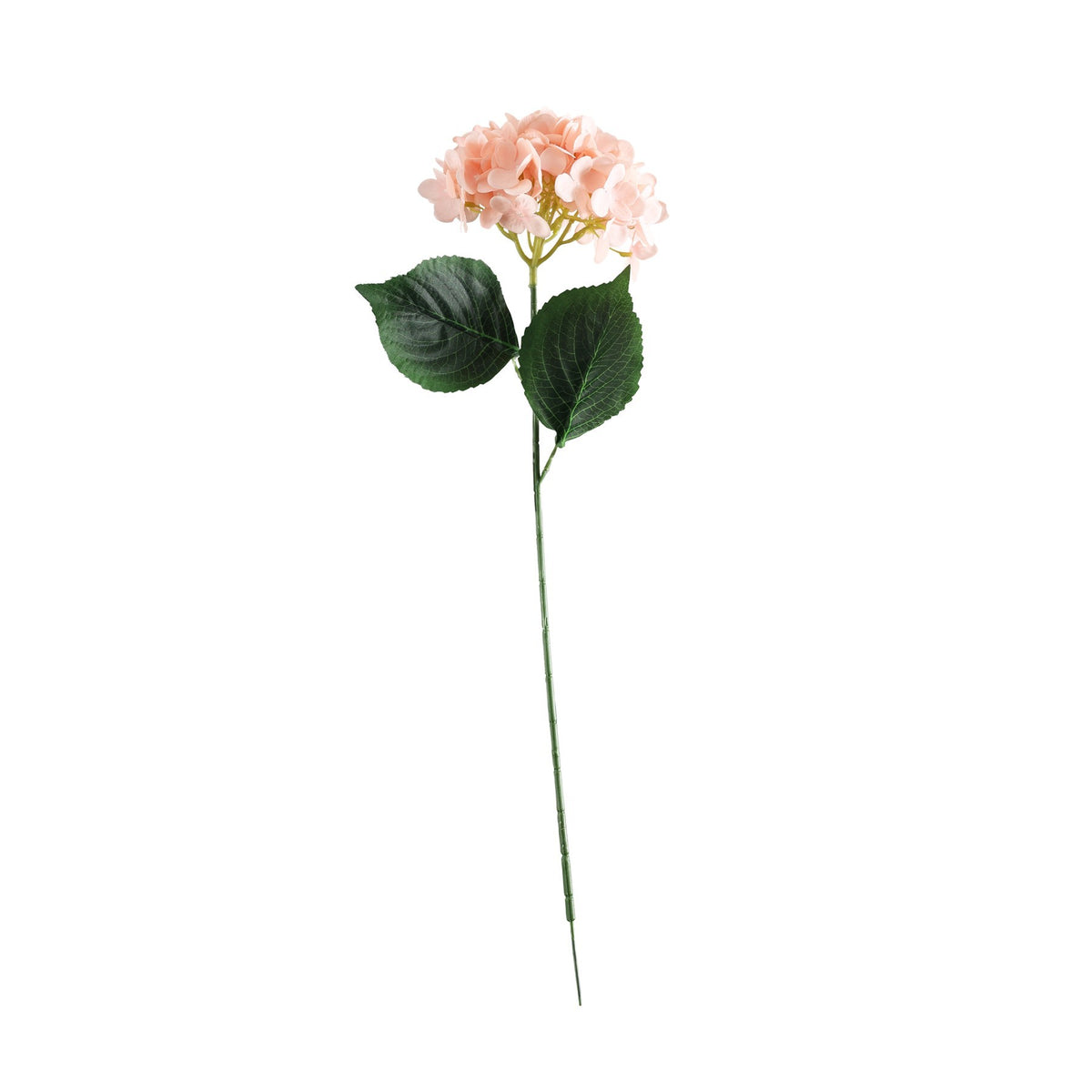 Discover the Essential Pink Hydrangea at Bristow Direct