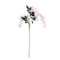 Essential Pink Wisteria (108cm)
