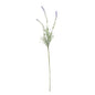 Essential Lavender Stem