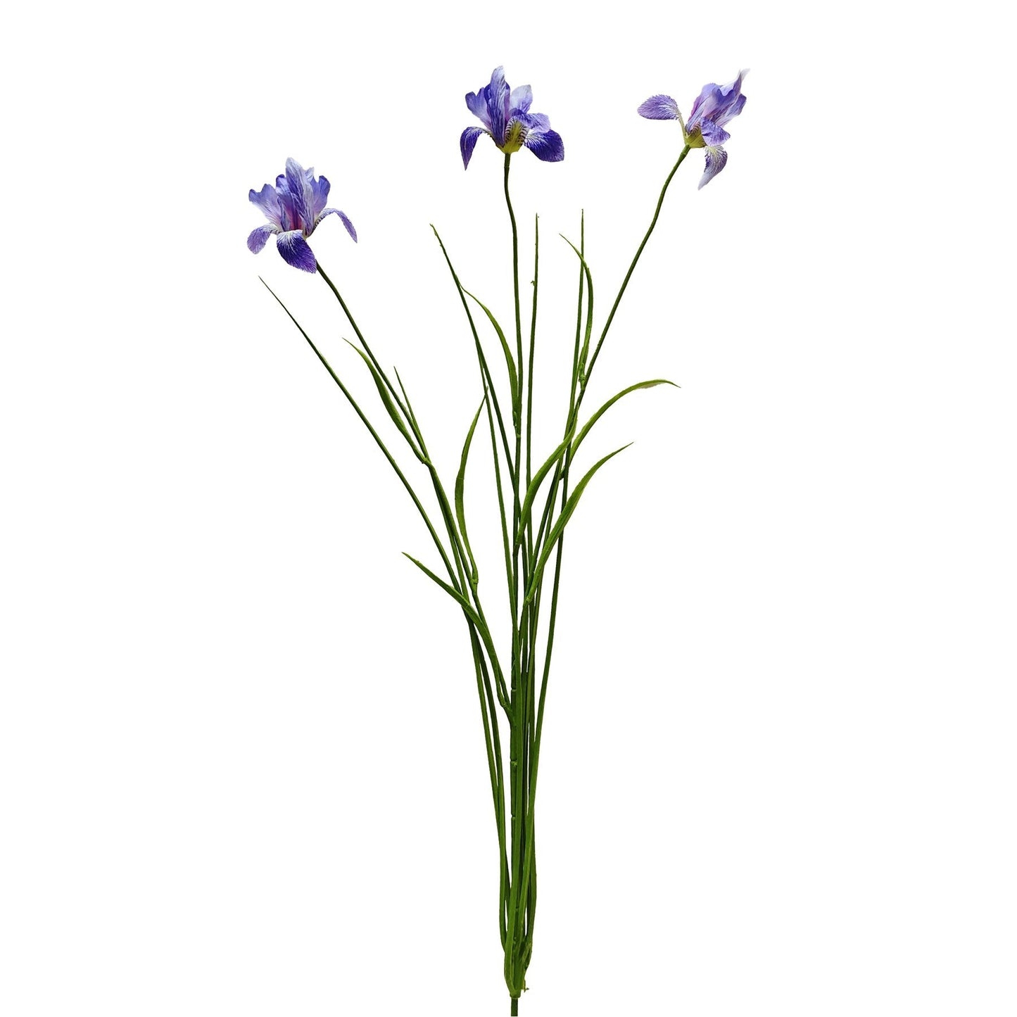 Botanica Lilac/White Iris (71cm)