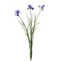 Botanica Lilac/White Iris (71cm)