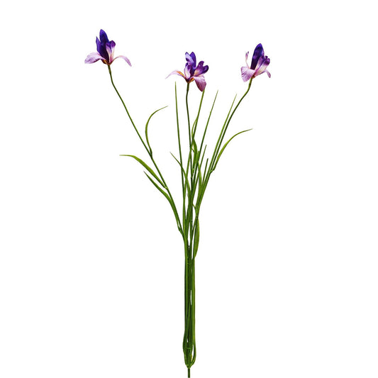 Botanica Purple/Orange Iris (71cm)