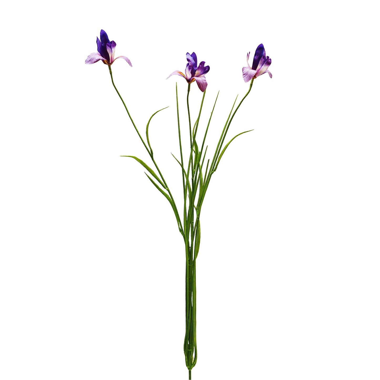 Botanica Purple Orange Iris