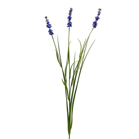 Botanica Blue Lavender (76cm)