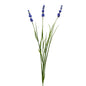 Botanica Blue Lavender