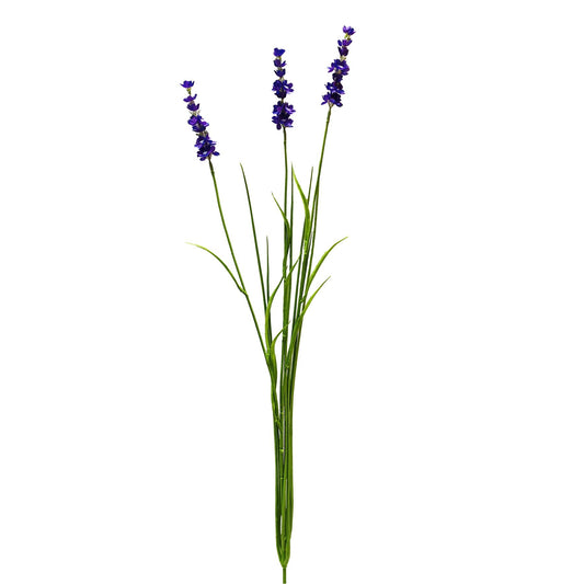 Botanica Purple Lavender