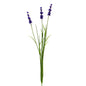 Botanica Purple Lavender