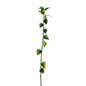 Botanica Green Houzouki (91cm)