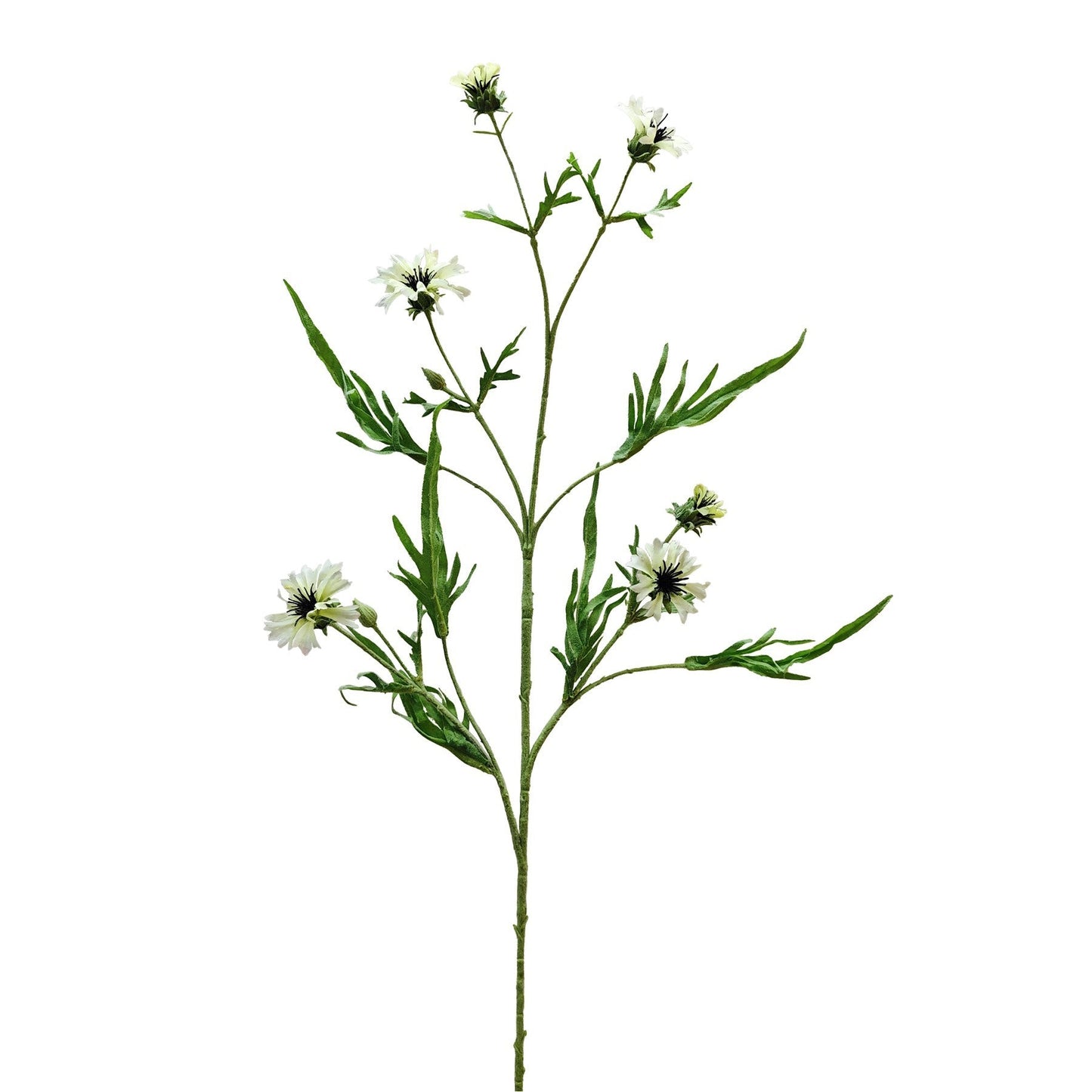 Botanica Cream Cornflower Spray (92cm)