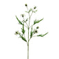 Botanica Cream Cornflower Spray (92cm)