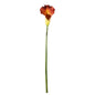 Botanica Large Mango Calla Lily (82cm)