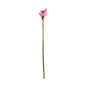Botanica Pink Calla Lily (60cm)
