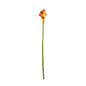 Botanica Mango Calla Lily (60cm)